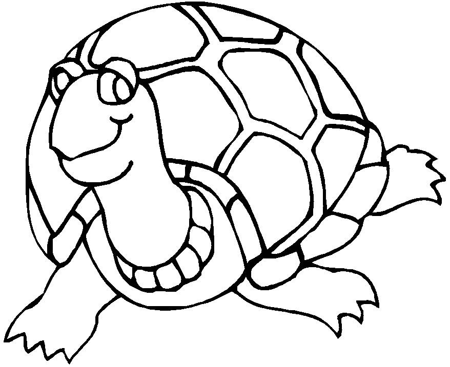 Les Coloriages - Les Tortues Terrestres - Vivelestortues encequiconcerne Coloriage Tortue,