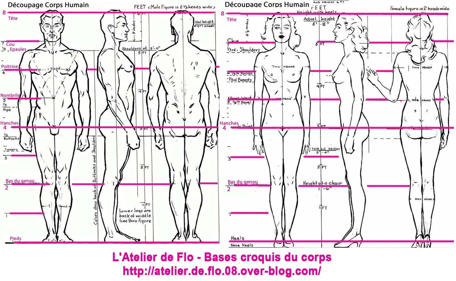 Les &amp;quot;Croquistes&amp;quot; Revoient Les Bases - L&amp;#039;Atelier De Flo.m pour Dessiner L&amp;#039;Anatomie,