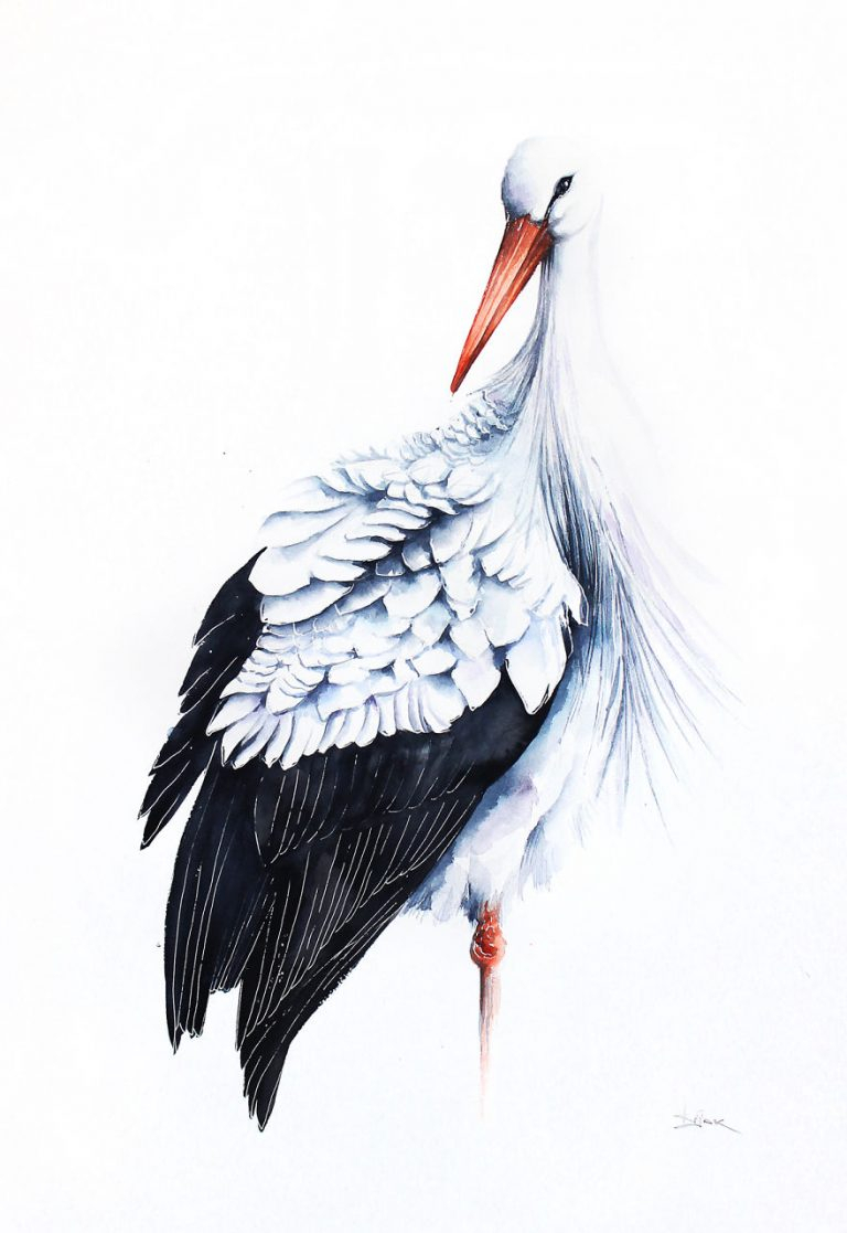 Les Délicieuse Aquarelles D&amp;#039;Oiseaux En Vol De Karolina à Dessin Oiseau,