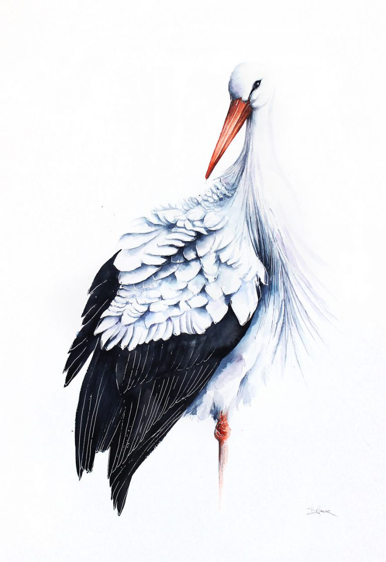 Les Délicieuse Aquarelles D'Oiseaux En Vol De Karolina avec Dessin D&amp;#039;Oiseau,