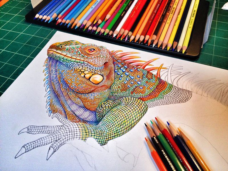 Les Dessins Ultra Détaillés Aux Crayons De Couleurs Signés à Dessin 1 Couleur,