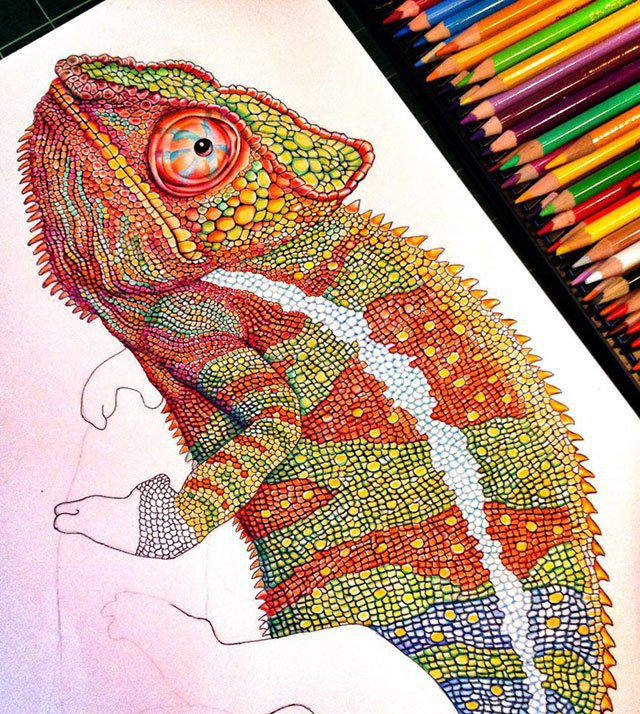 Les Dessins Ultra Détaillés Aux Crayons De Couleurs Signés pour Dessins