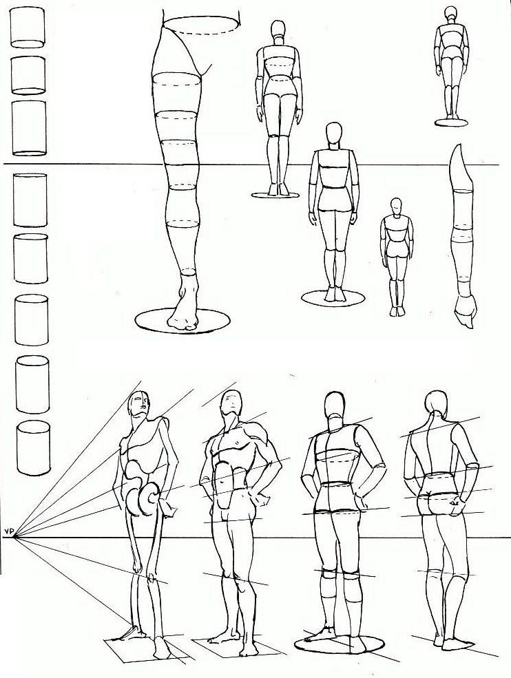 Les Proportions Du Corps | Leflux.fr | Figure Drawing intérieur Dessin Corps