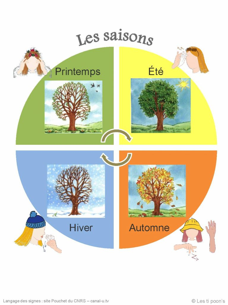 Les Saisons - Découverte Du Monde, Ecriture, Lecture Cp serapportantà Coloriage Des 4 Saisons