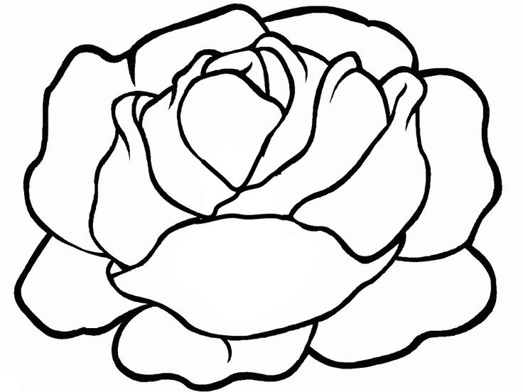 Lettuce Coloring Pages - Best Coloring Pages For Kids In à Vitamine K Dessin
