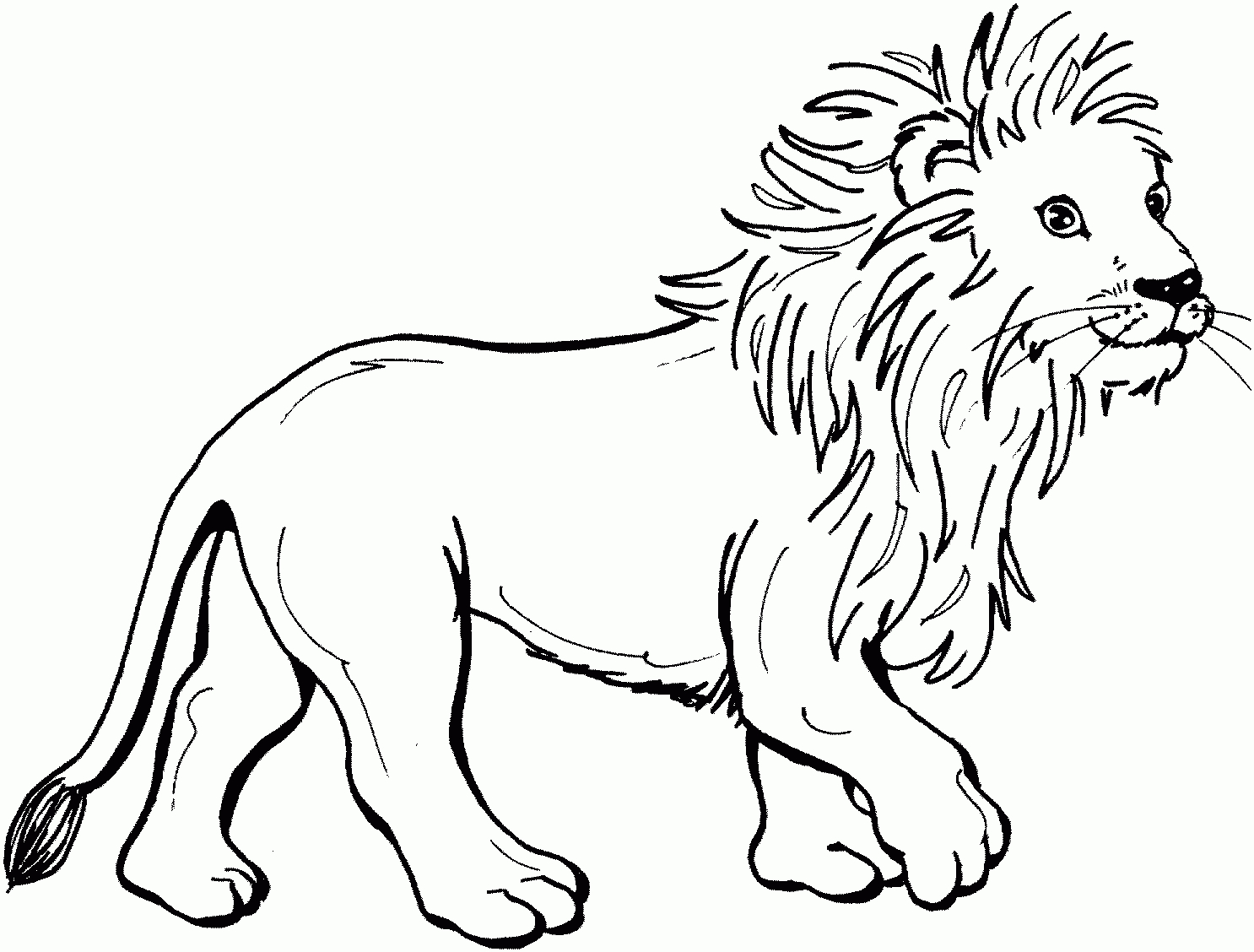 Lion Coloring Pages - Kidsuki dedans Dessin Lion