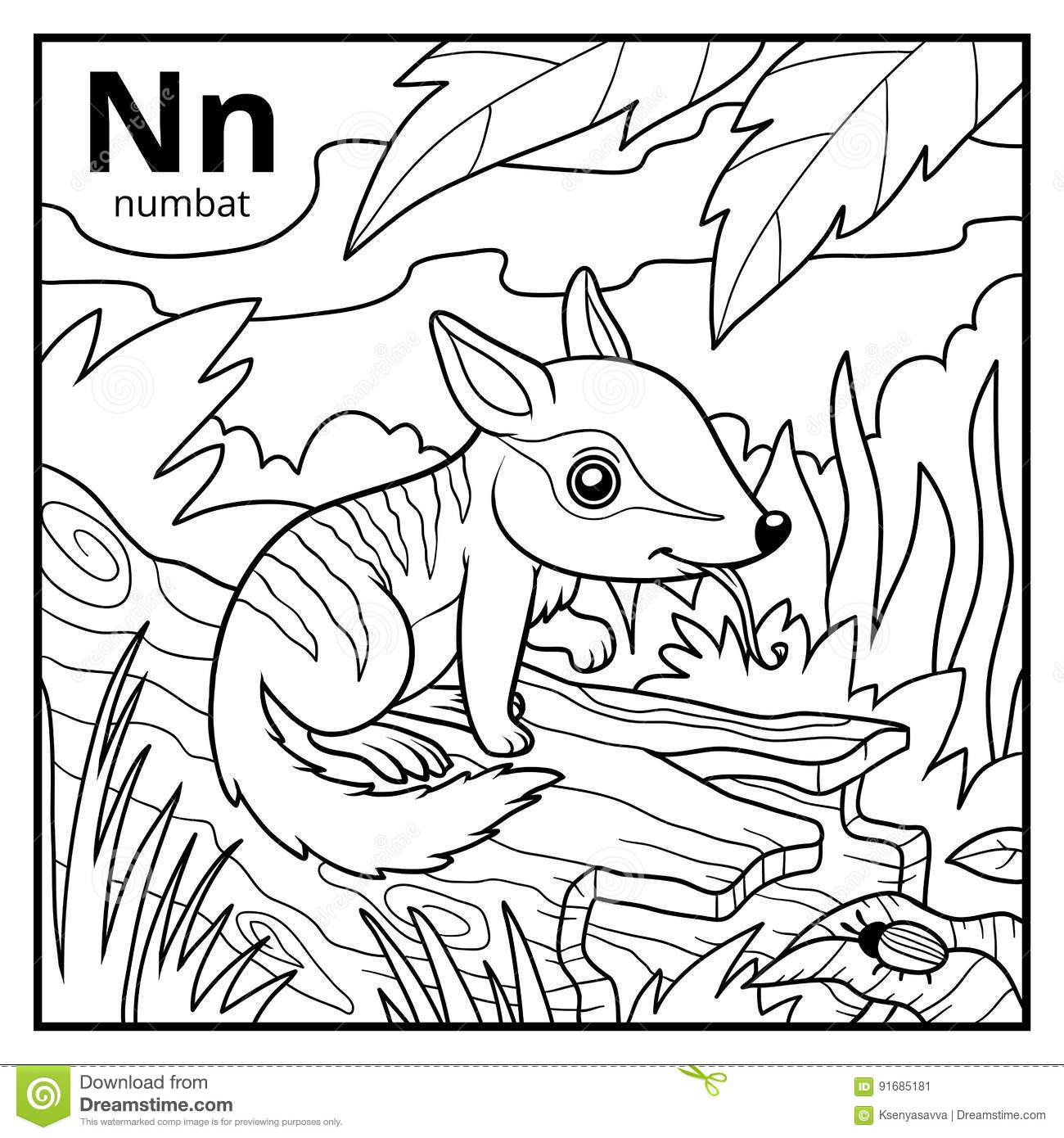 Livre De Coloriage, Alphabet Sans Couleur Lettre N, Numbat destiné N Coloriage