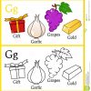 Livre De Coloriage Pour Des Enfants - Alphabet G intérieur G Dessin