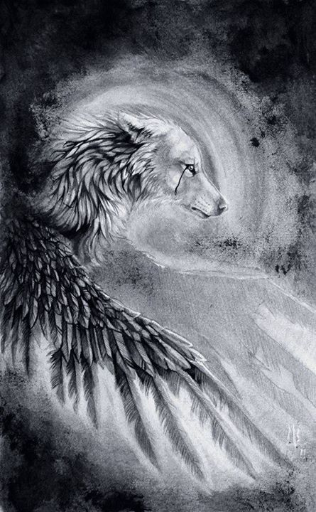 Loup Aigle | Wolf Art, Raven And Wolf, Wolf Drawing dedans Dessin Lou^p