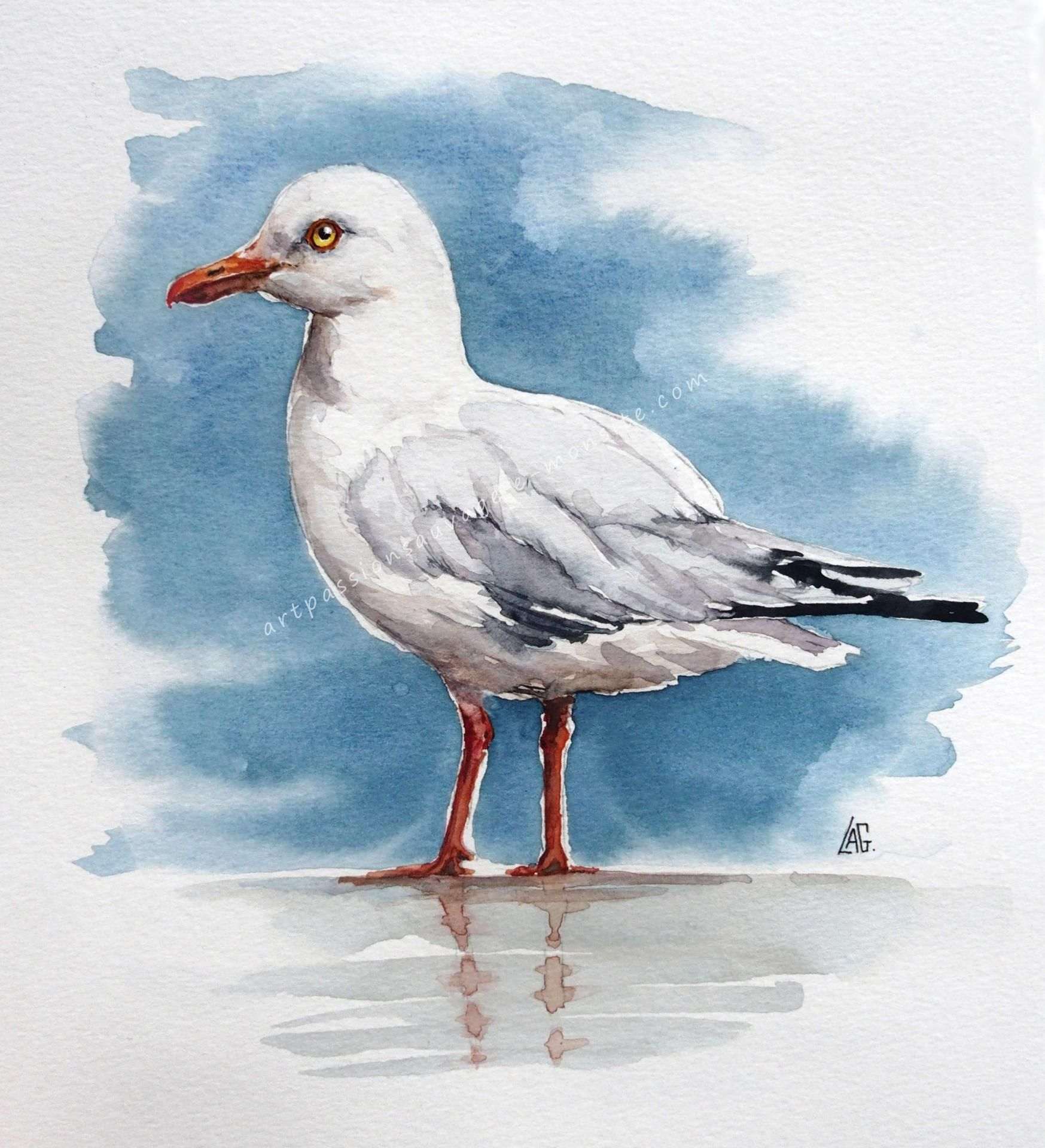 Mouette Ou Goéland ? | Oiseaux Peints, Peinture Oiseau encequiconcerne Coloriage Aquarelle,