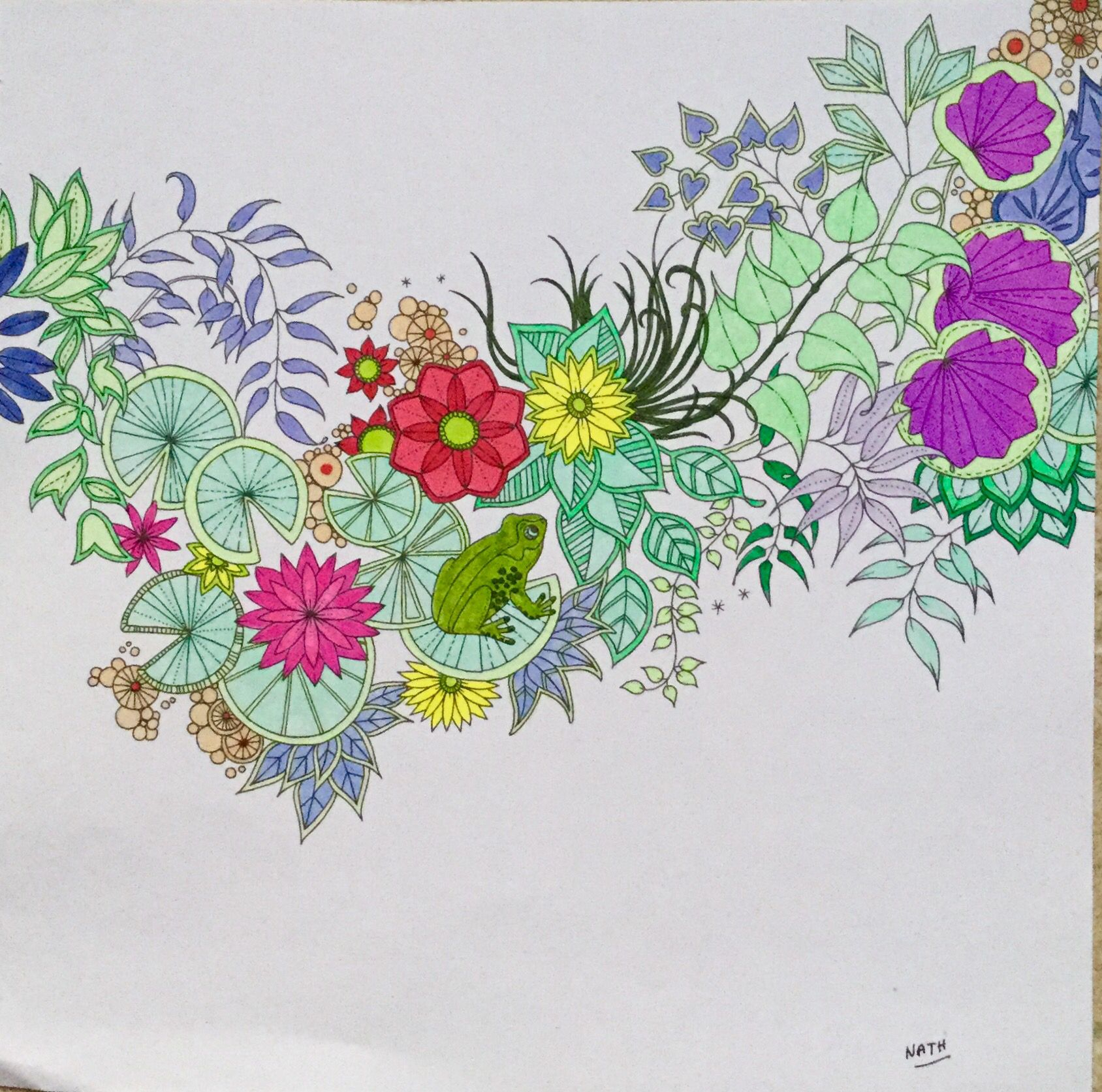 My Colouring Johanna Basford Secret Garden | Johanna à Coloriage Jardin Secret Johanna Basford,