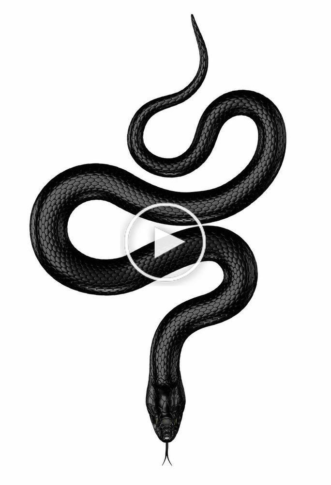 &quot;Noir Beauté&quot; Par Menta | Dessin Serpent, Piercings intérieur Dessin Serpent