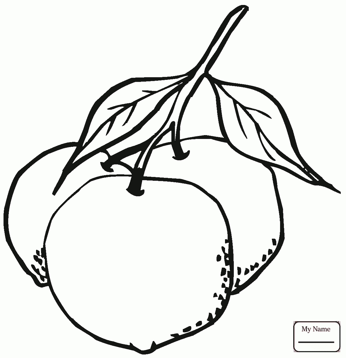 Orange Fruit Drawing At Getdrawings | Free Download tout Coloriage Orange