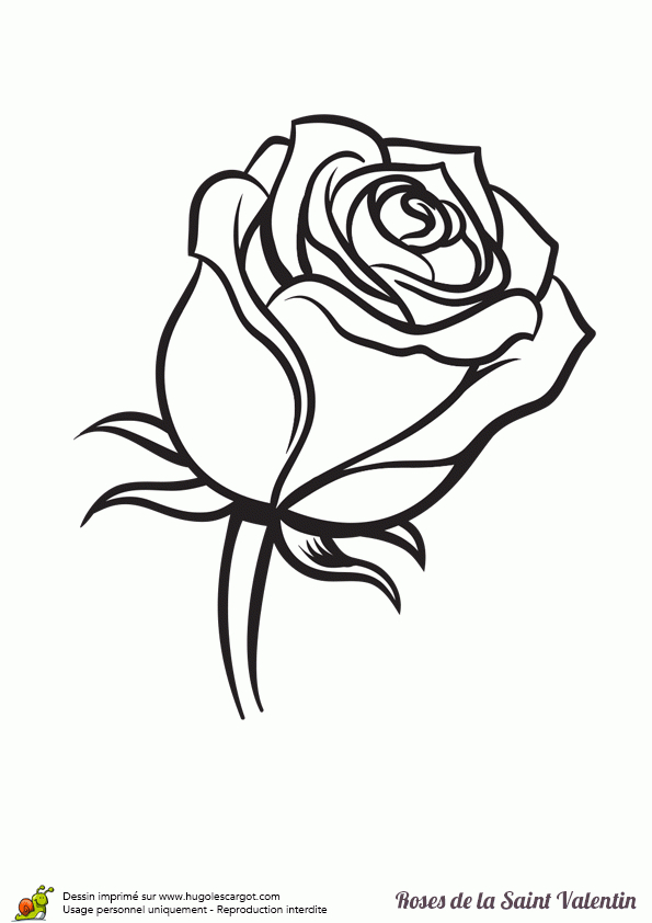 , Page 153 Sur 188 Sur Hugolescargot | Coloriage encequiconcerne Coloriage Dessin Rose