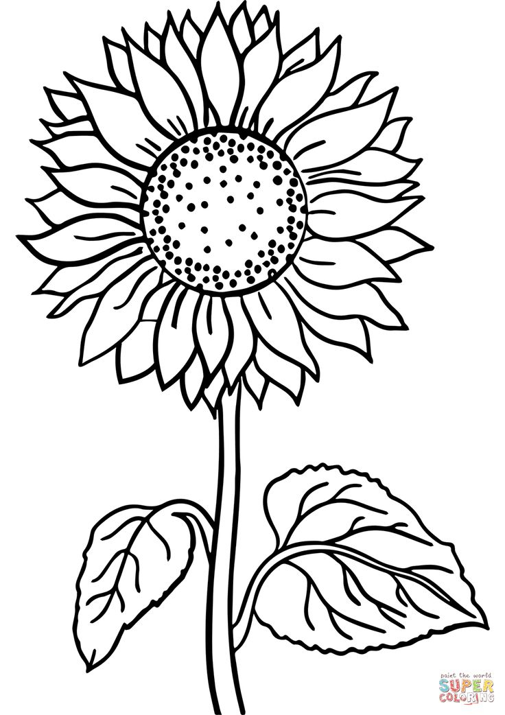 Paisley Design Flower Coloring Pages Art Printmaking pour Coloriage Illustrator,