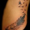 Pin By Karen Hoefer On Birds In Flight Tattoos | Feather destiné Nina Quill Coloriage,