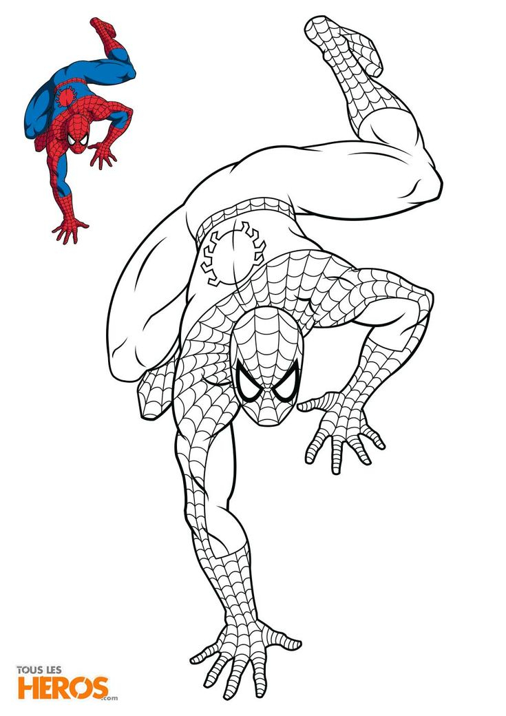 Pin By Samira Ahmed On Dessins | Spiderman Coloring intérieur Dessin De Spiderman,