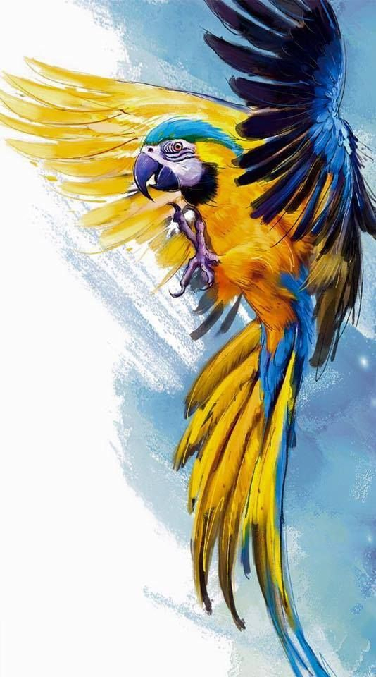Pin By Yann Sky On Dieren Tekenen En Schilderen | Parrots destiné Oiseau En V Dessin