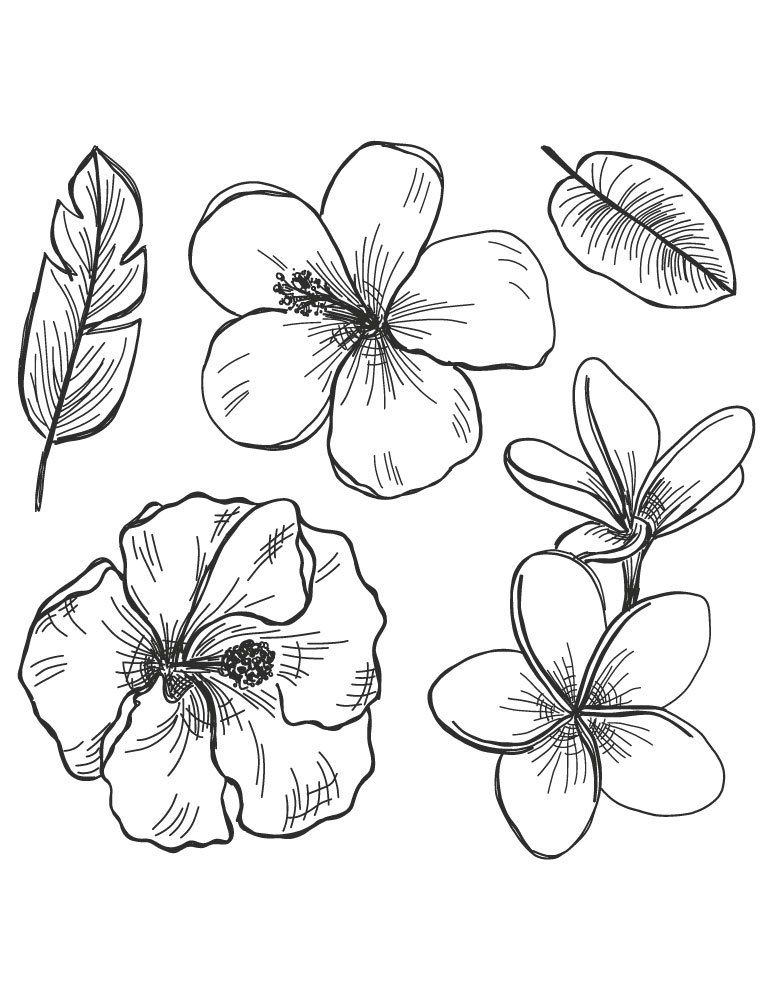 Pin On Coloriage Fleurs Et Plantes - Flowers And Plant tout Coloriage Une Fleur