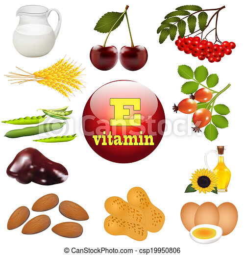 Plante, Vitamine E, Origine, Nourritures, Illustration tout Vitamine C Dessin