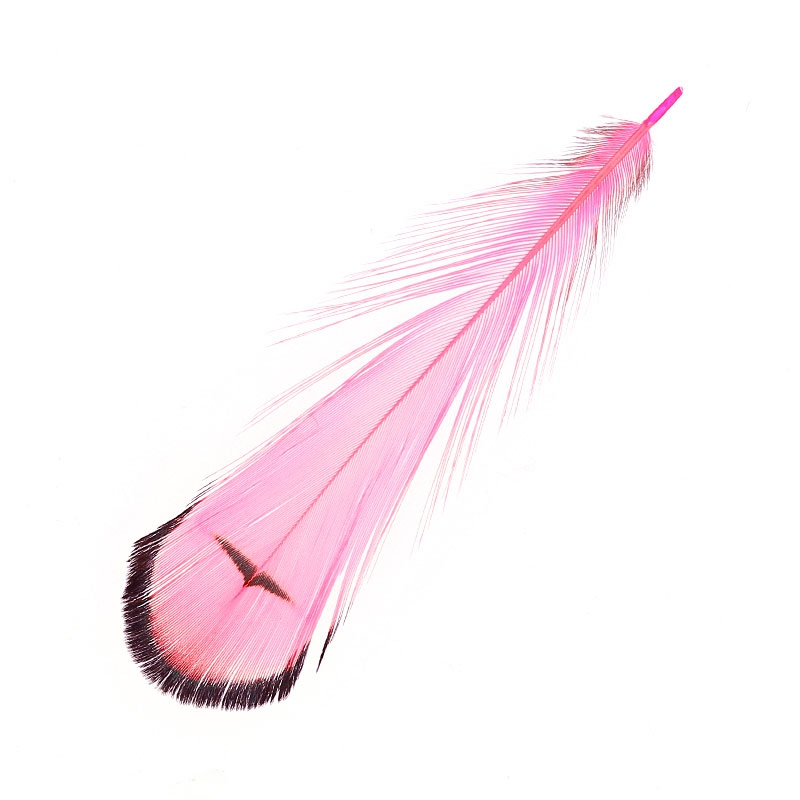 Plume De Faisan Rayée 6-11 Cm Hot Pink X1 - Perles &amp;amp; Co tout Plume G Dessin
