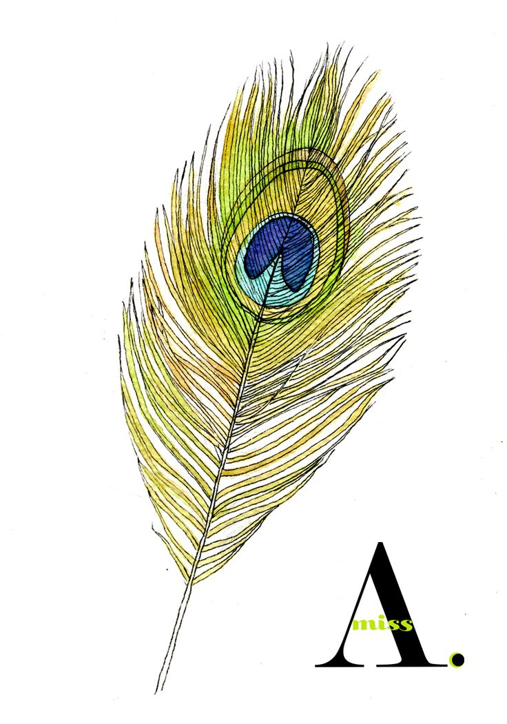 Plume De Paon, © Audrey Lepetit-Robitaille | Dessins À L concernant Coloriage Dessin Plume