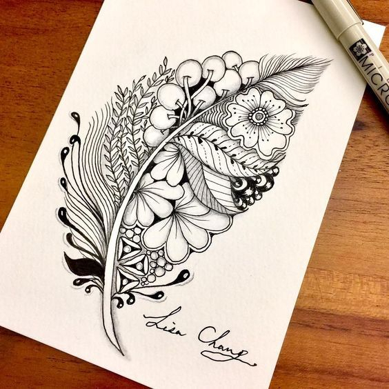 Plume Dessins Dessinés Zentangle Doodle. Par Lisa Chang intérieur Coloriage Dessin Plume