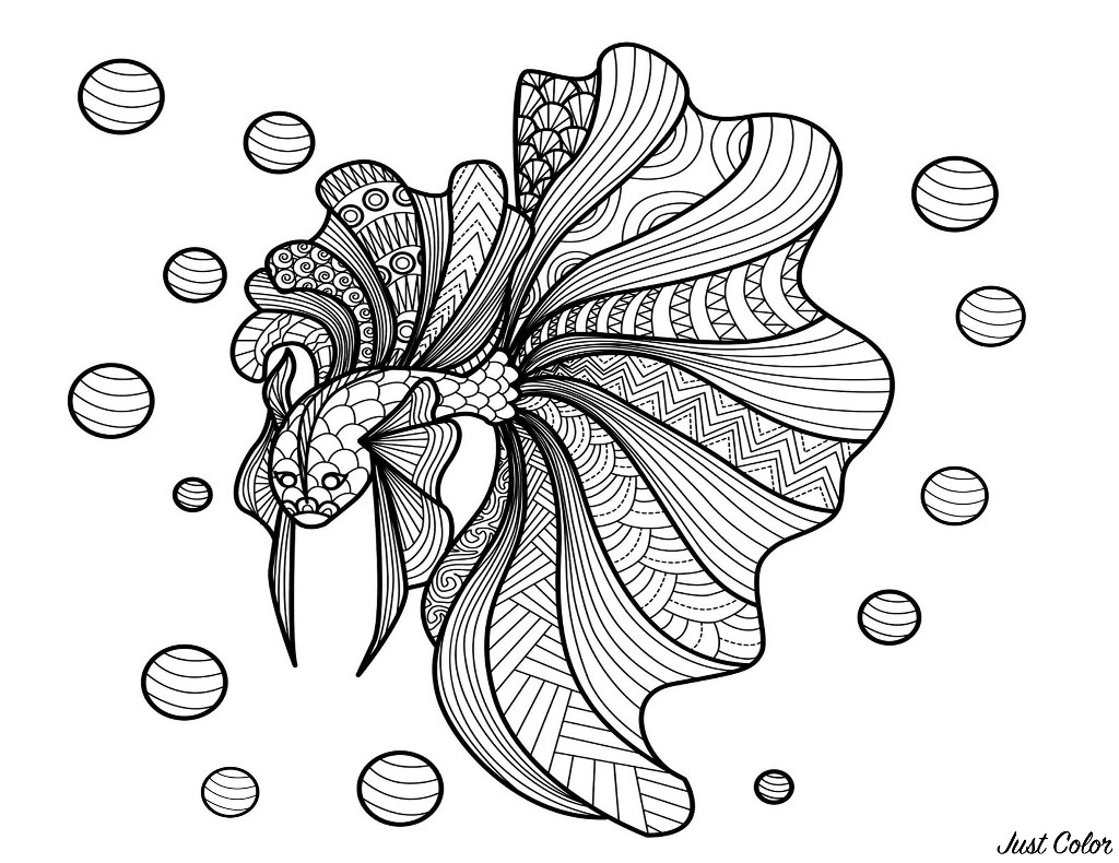 Poisson Bimdeedee - Poissons - Coloriages Difficiles Pour destiné Coloriage Poisson