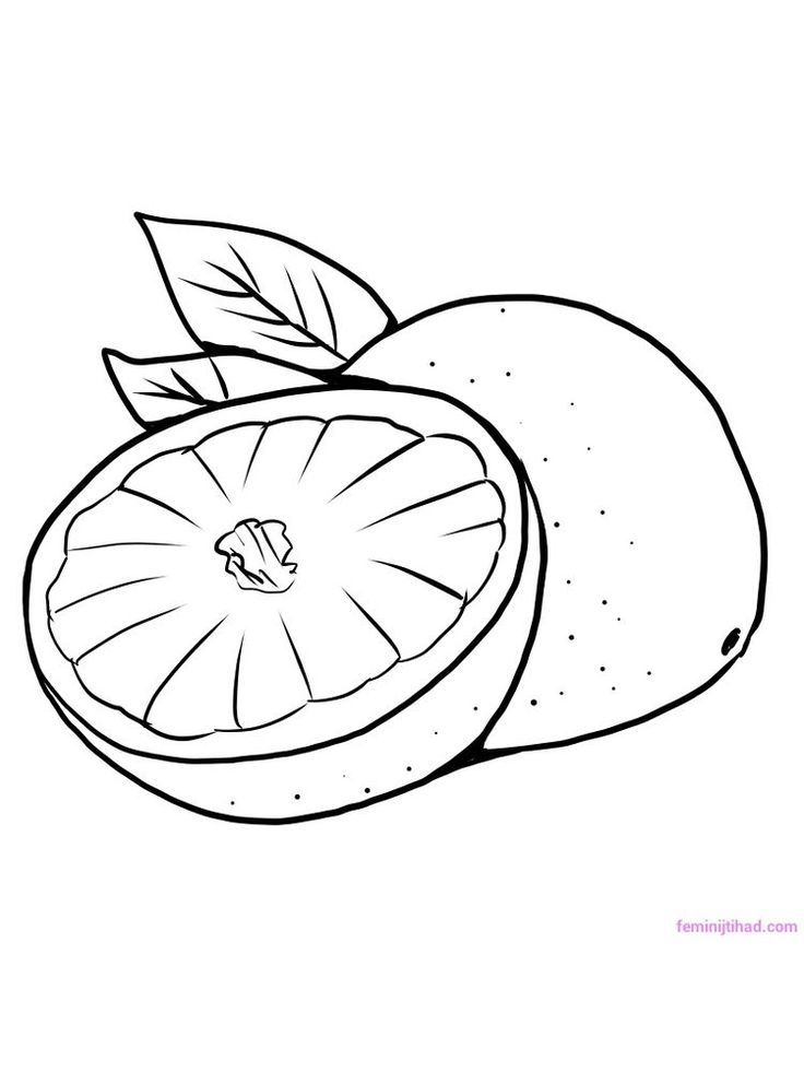 Pomelo Coloring Sheet. Pomelo Means Big Orange. Pomelo Is pour Coloriage Orange