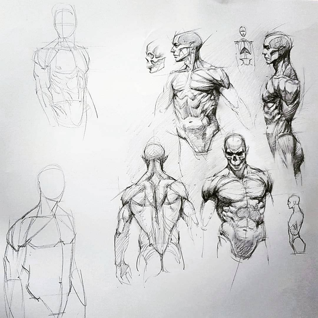 Pourquoi J'Ai Arrêté Ces Techniques Pour Apprendre À destiné Dessiner L&amp;#039;Anatomie,