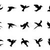 Related Image | Oiseau En Vol, Silhouette Oiseau destiné Oiseau En V Dessin