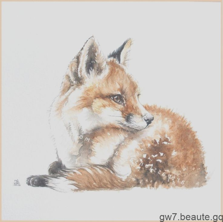 Renard Aquarelle | Forest Animals, Animals, Art à Dessin Renard,