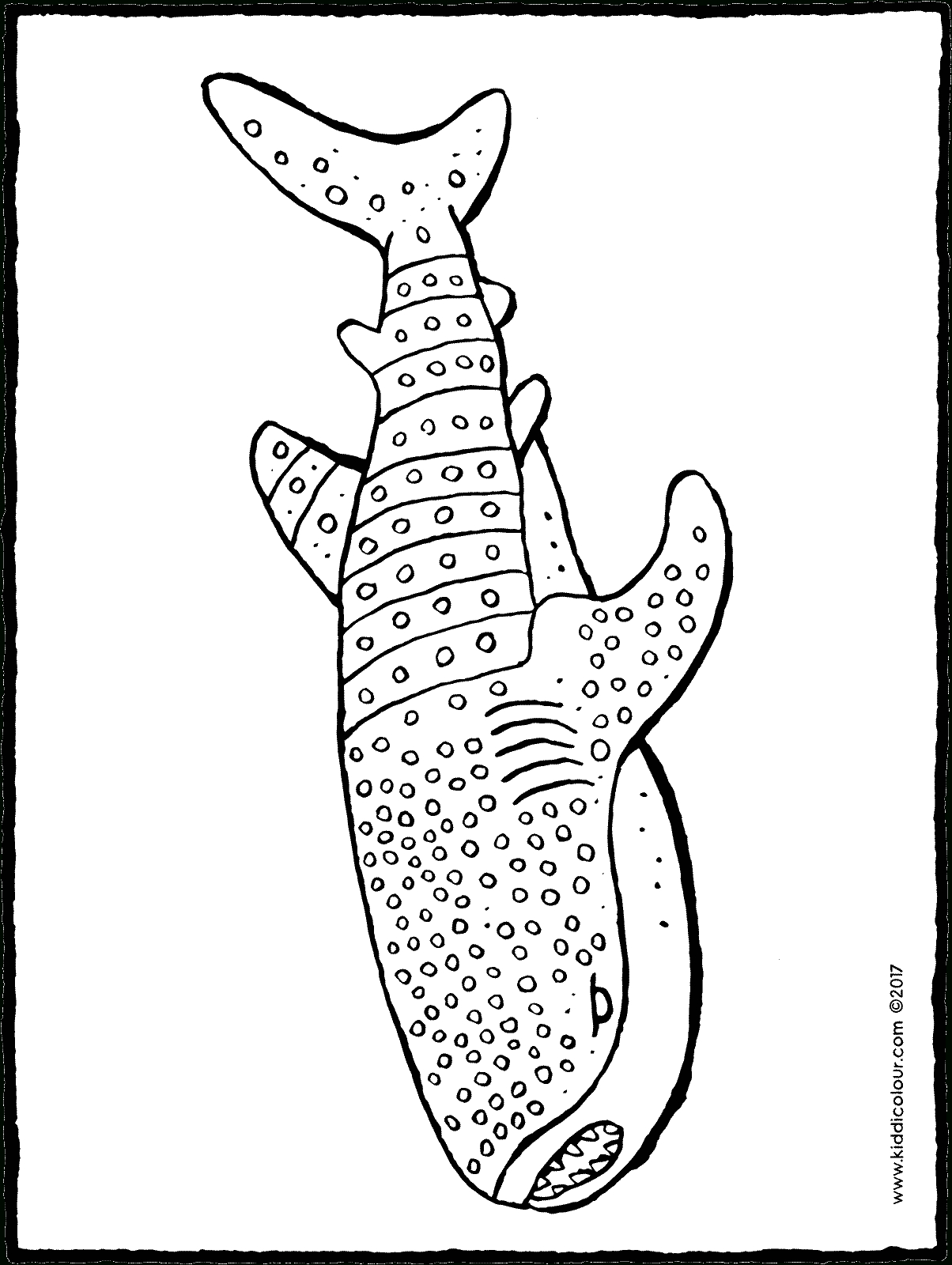 Requin-Baleine - Kiddicoloriage concernant Coloriage Dessin Requin