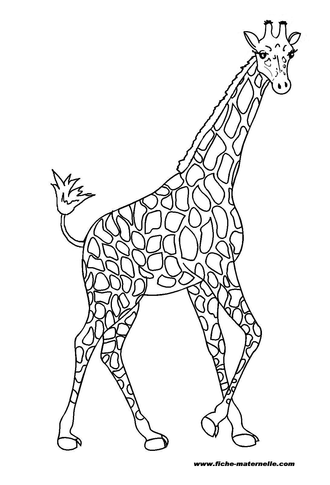 Sélection De Coloriage Girafe À Imprimer Sur Laguerche destiné Une Coloriage,
