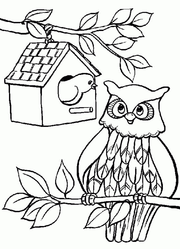 Sélection De Coloriage Hibou À Imprimer Sur Laguerche dedans Imprimer Des Dessins À Colorier