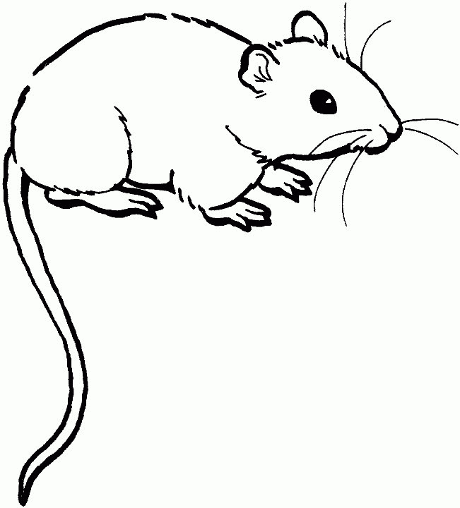 Sélection De Coloriage Souris À Imprimer Sur Laguerche pour Dessin Souris