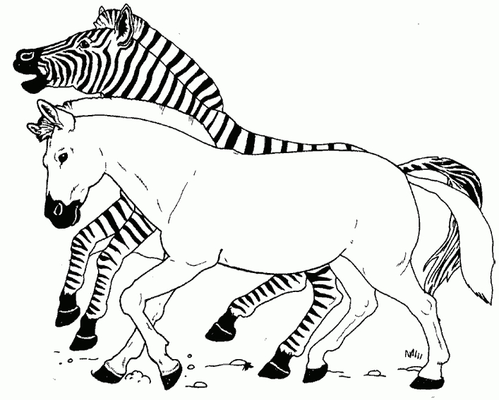 Sélection De Coloriage Zèbre À Imprimer Sur Laguerche destiné Coloriage Zebre