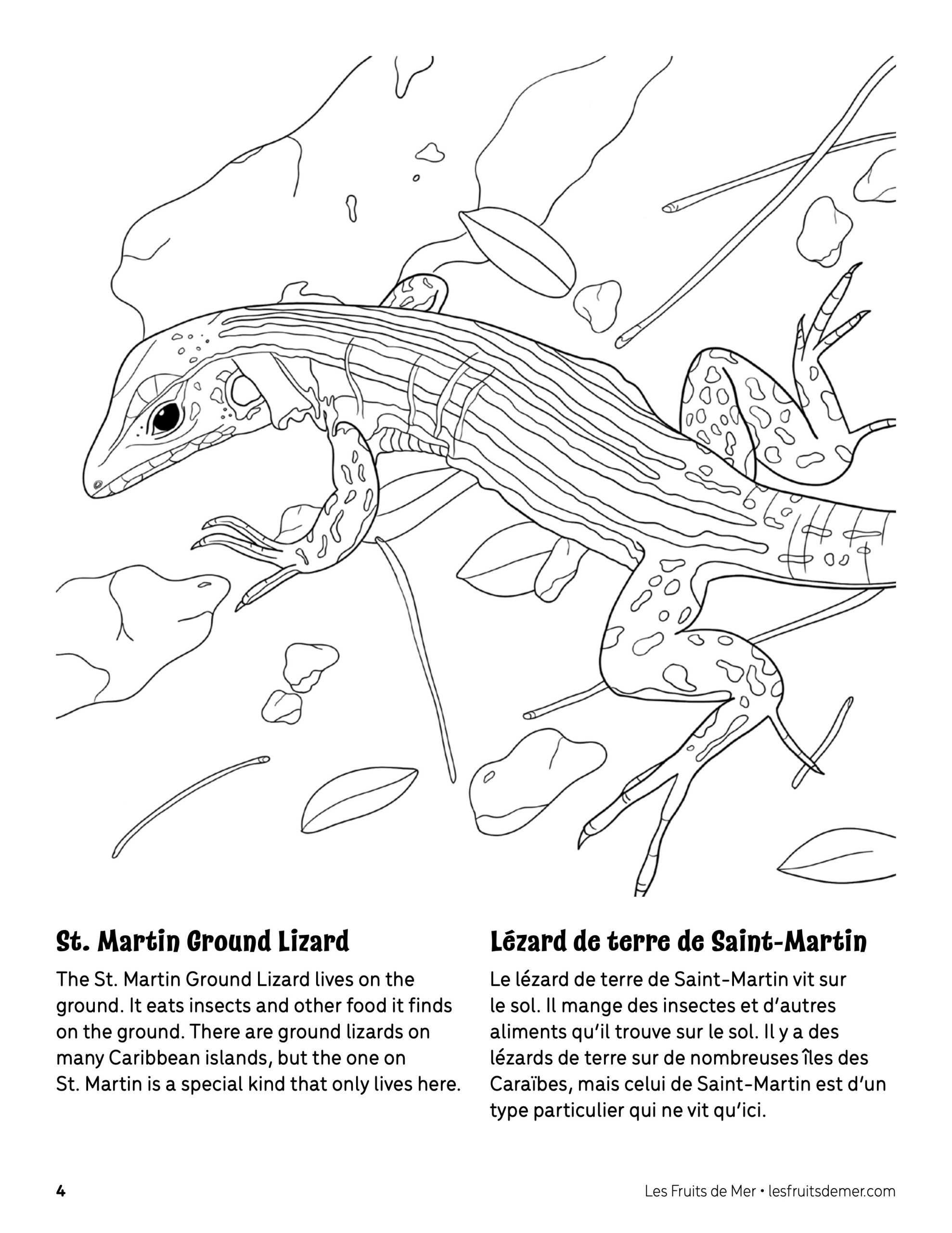 St. Martin Ground Lizard Coloring Page - Coloriage De encequiconcerne Coloriage De Lézard