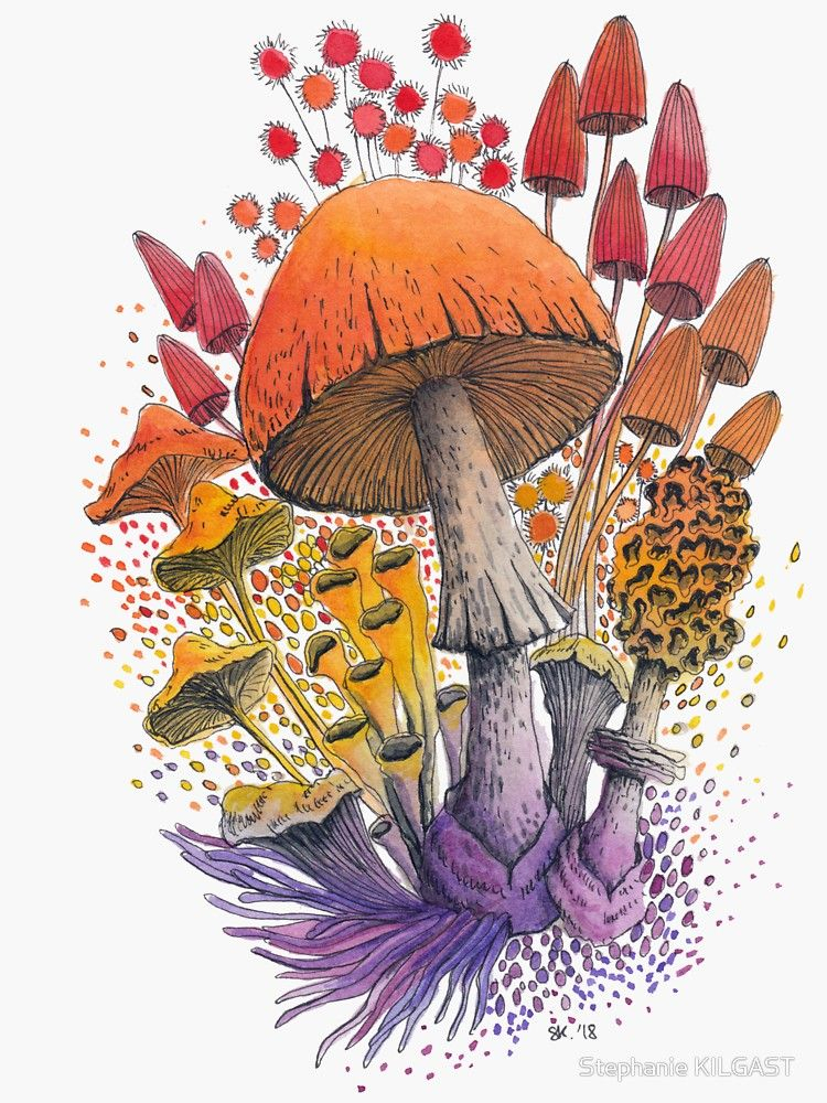 Sticker &amp;#039;Composition De Champignons # 1 | Illustration intérieur Coloriage Aquarelle,