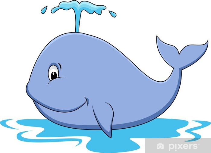 Sticker Dessin De Baleine • Pixers® - Nous Vivons Pour Changer destiné Dessin Baleine
