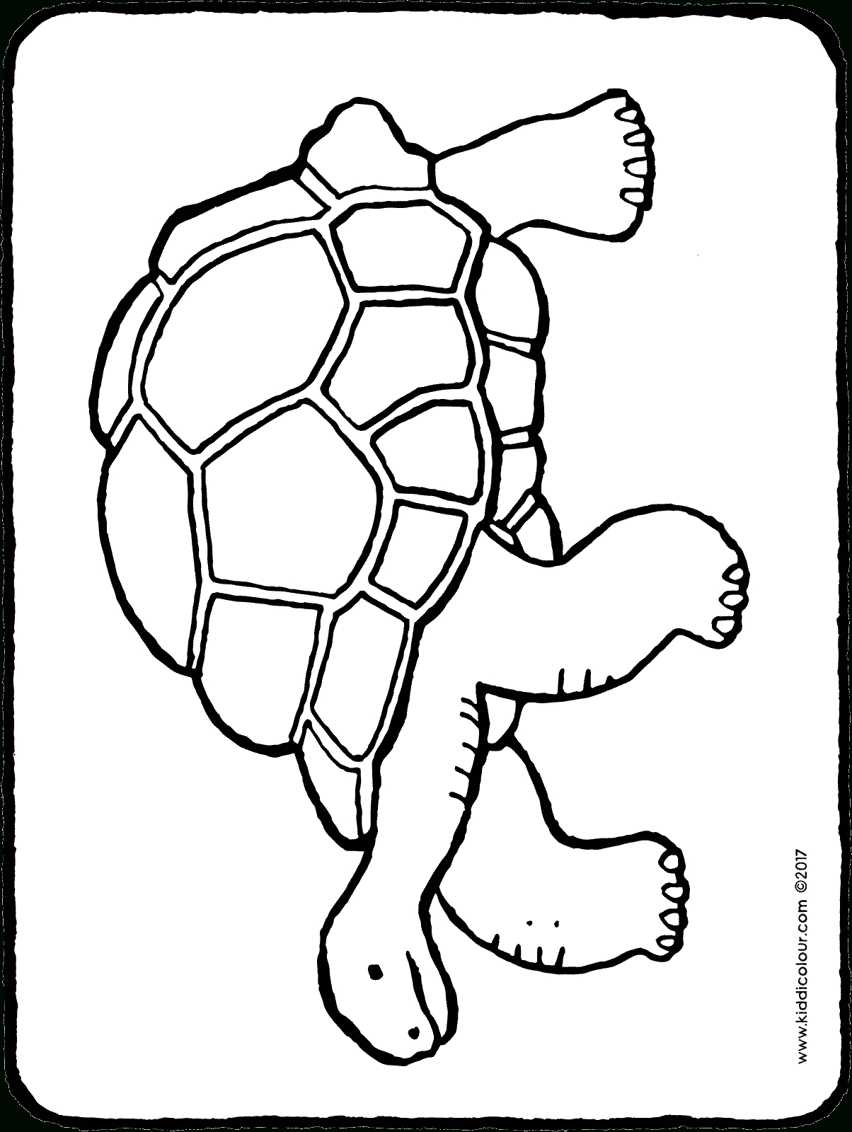 Tortue - Kiddicoloriage à Coloriage Tortue,