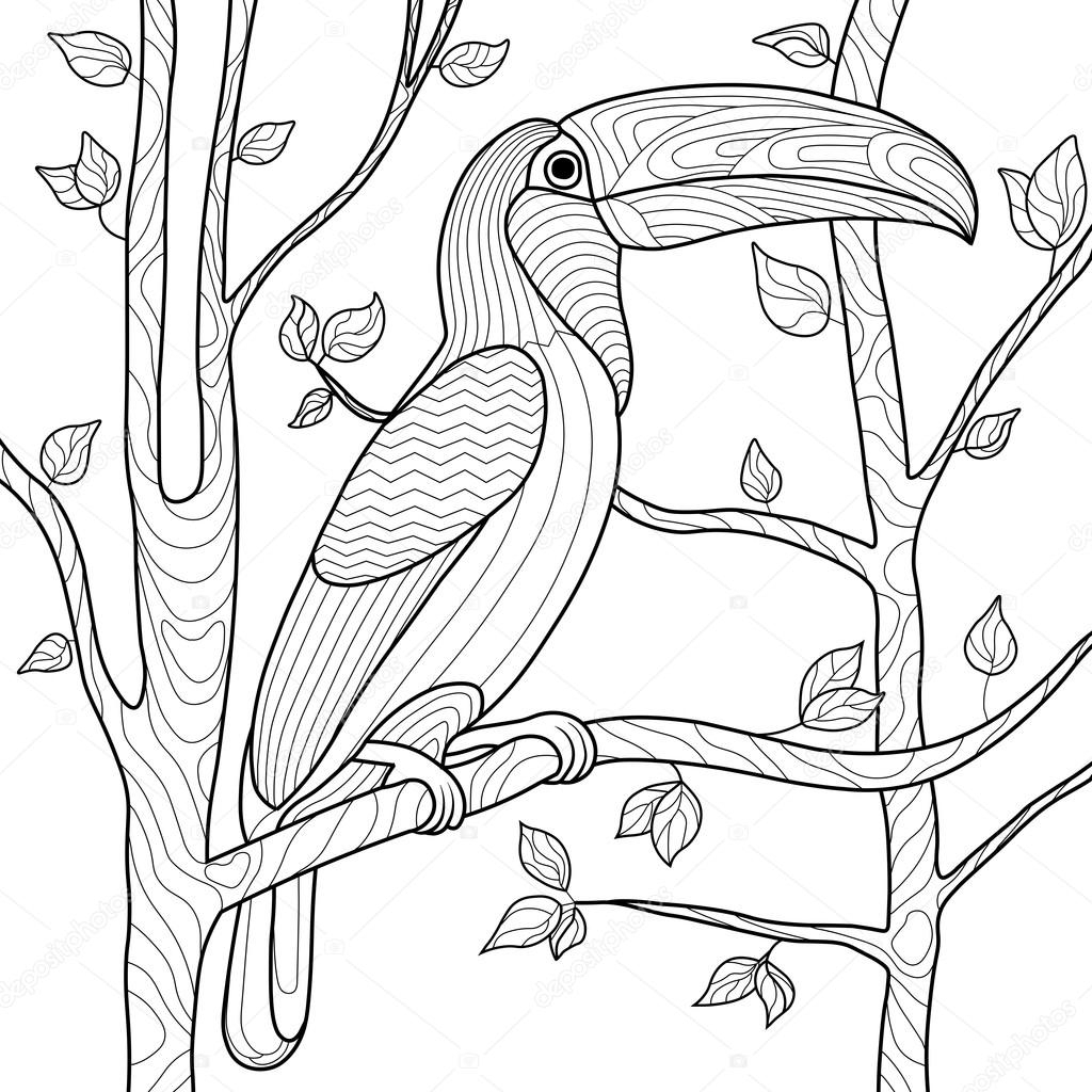 Toucan Coloriages Pour Vecteur Adultes — Image Vectorielle concernant Coloriage Dessin Toucan