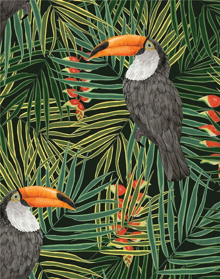 Toucan Green | Jungle Art, Bird Wallpaper, Tropical Wallpaper pour Dessin Jungle