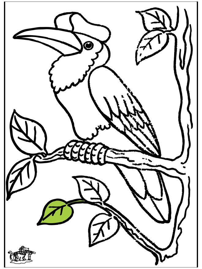 Toucan - Oiseaux serapportantà Coloriage Dessin Toucan