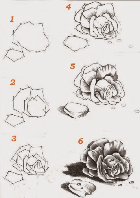 Tuto Dessin: Comment Dessiner Une Rose..étapes Par Étapes serapportantà Dessin 3D Facile Etape Par Etape