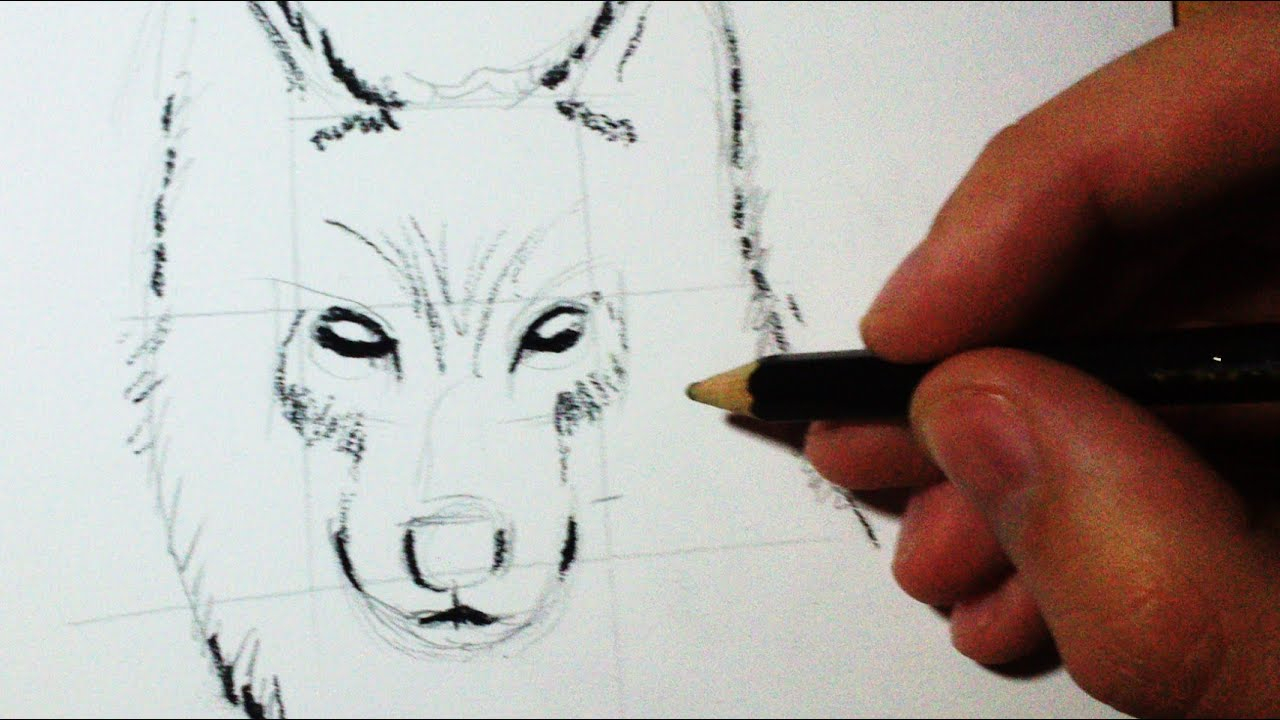 Tuto Dessin Loup intérieur Comment Dessiner V,