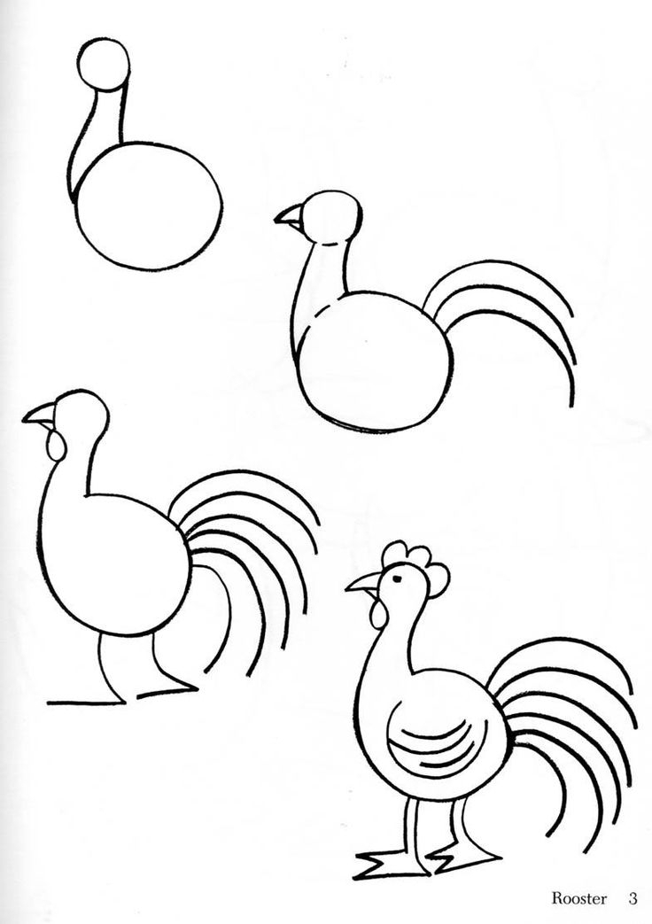 Tutoriel : Dessiner Un Coq | Apprendre À Dessiner, Mouton encequiconcerne Que Dessiner
