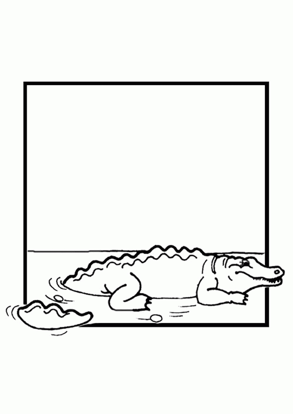 Un Crocodile Qui Sort De L&amp;#039;Eau, À Colorier (Avec Images à Dessin Qui Sort De La Feuille,