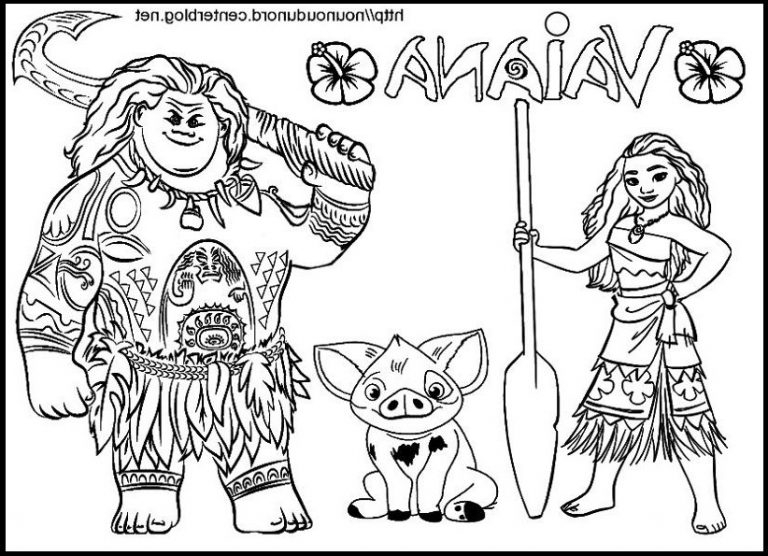 Vaiana Dessin A Imprimer Inspirant Image Vaiana À Colorier intérieur Dessin Coloriage Vaiana