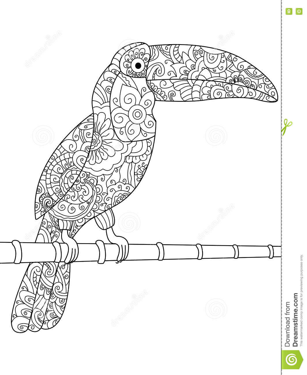 Vecteur De Livre De Coloriage De Toucan Pour Des Adultes pour Coloriage Dessin Toucan